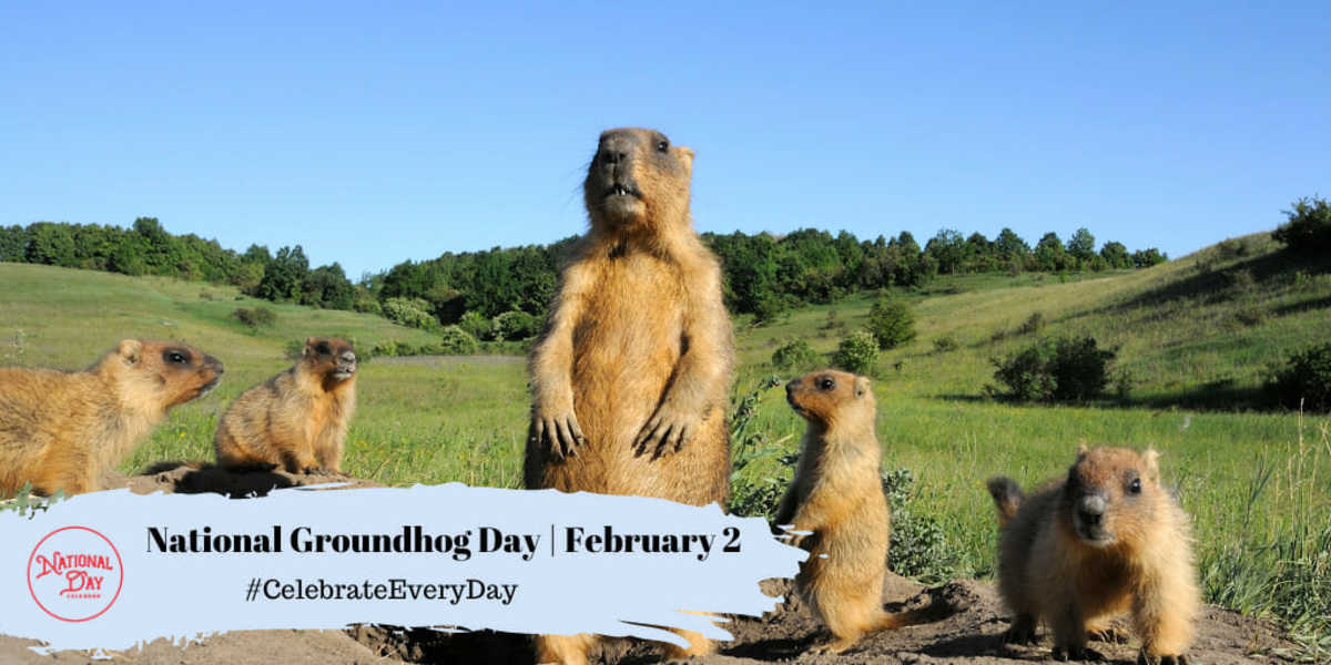 National Groundhog Day | February 2