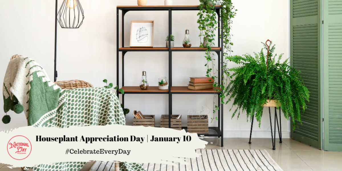 National Houseplant Appreciation Day | January 10