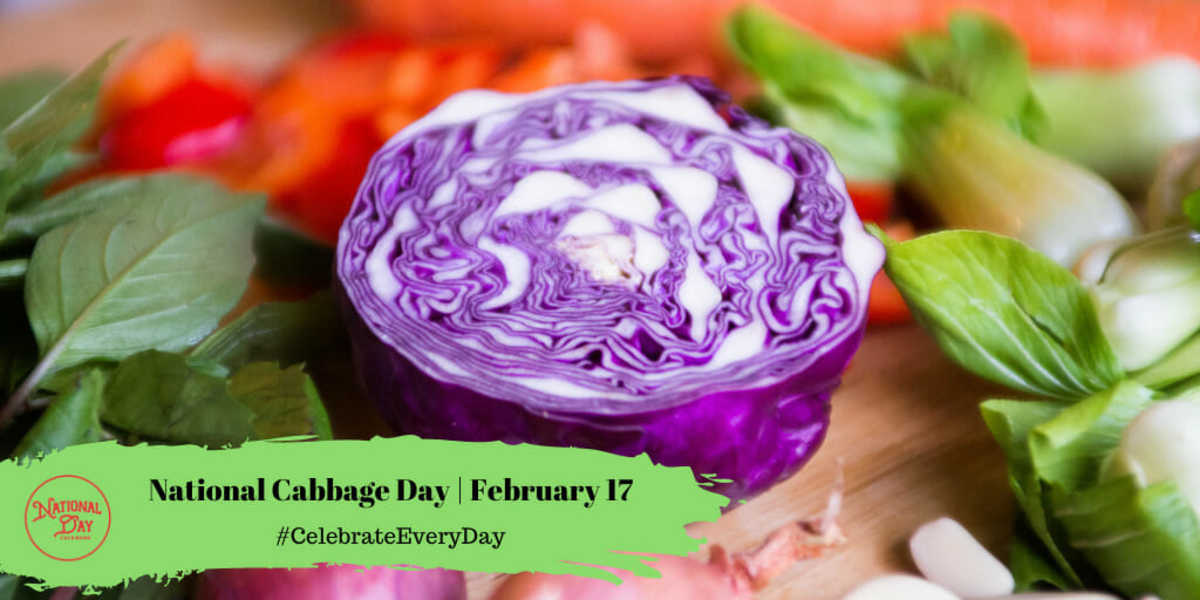 National Cabbage Day | February 17