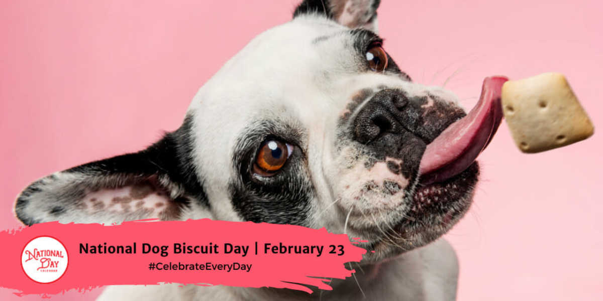 NATIONAL DOG BISCUIT DAY February 23 National Day Calendar