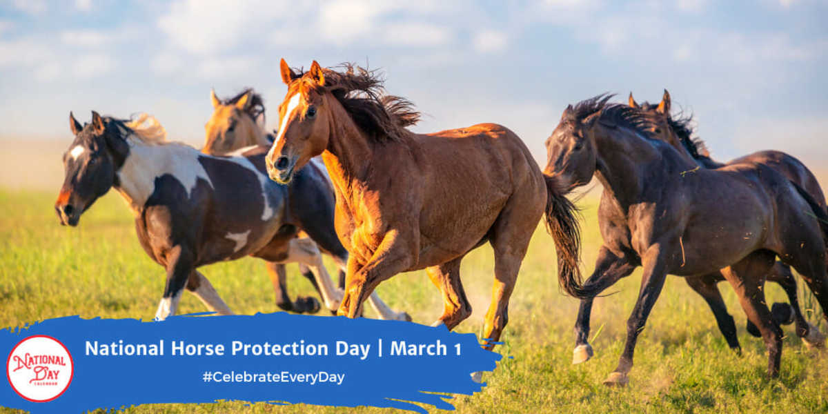 NATIONAL HORSE PROTECTION DAY March 1 National Day Calendar