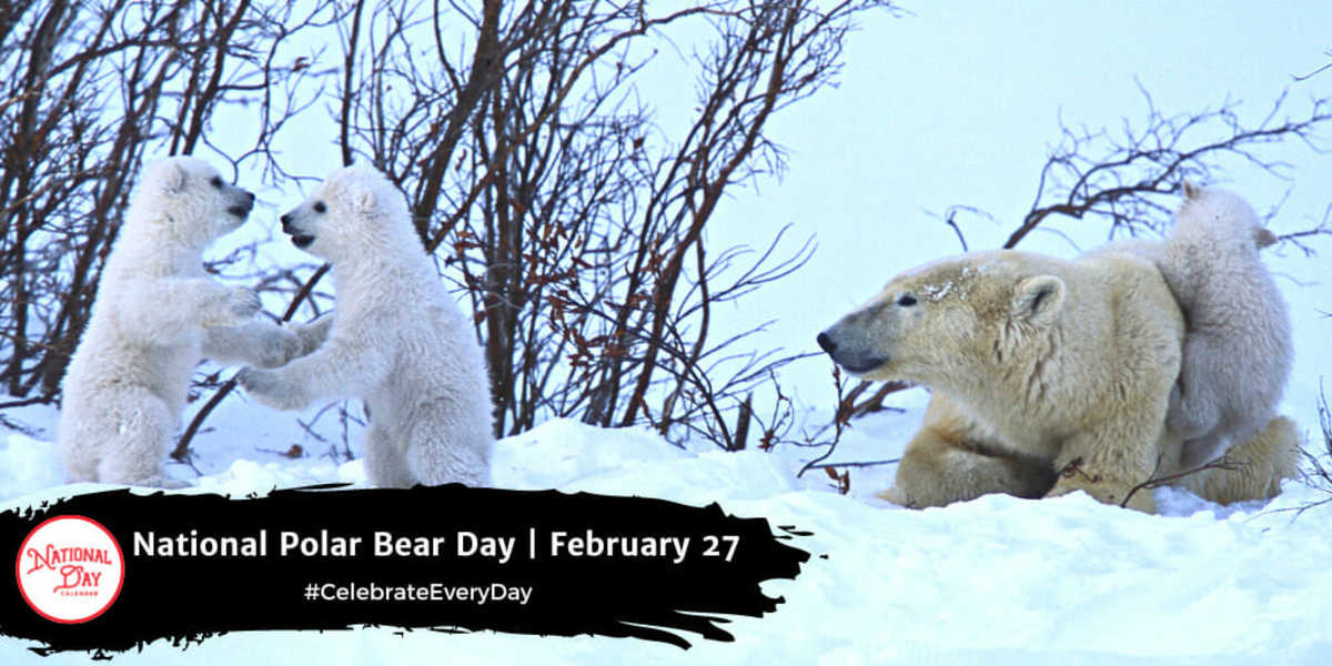 National Polar Bear Day | February 27