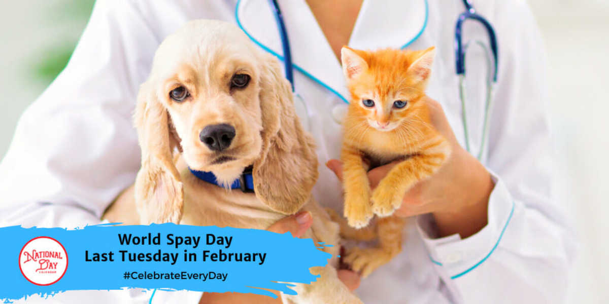 WORLD SPAY DAY Last Tuesday in February National Day Calendar