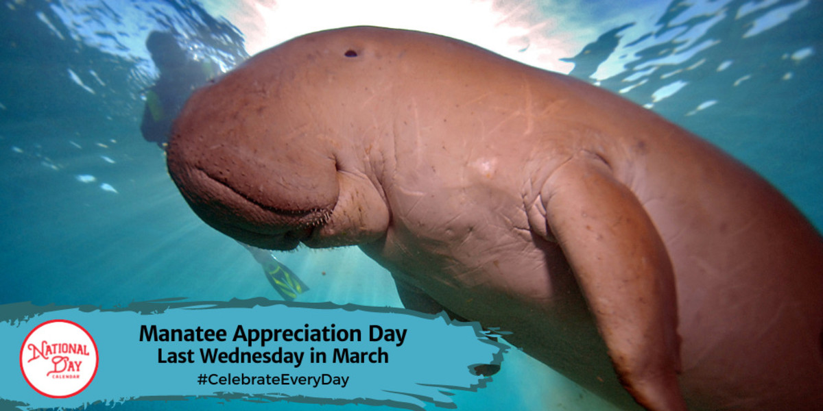 Manatee Appreciation Day | Last Wednesday in March