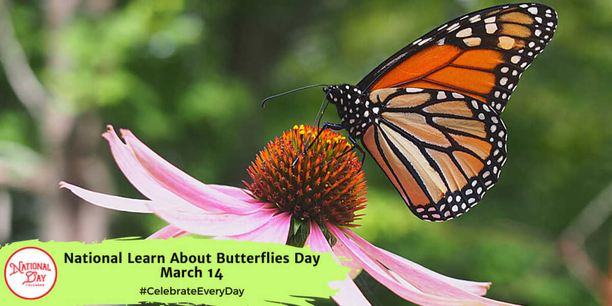 National Learn About Butterflies Day | March 14