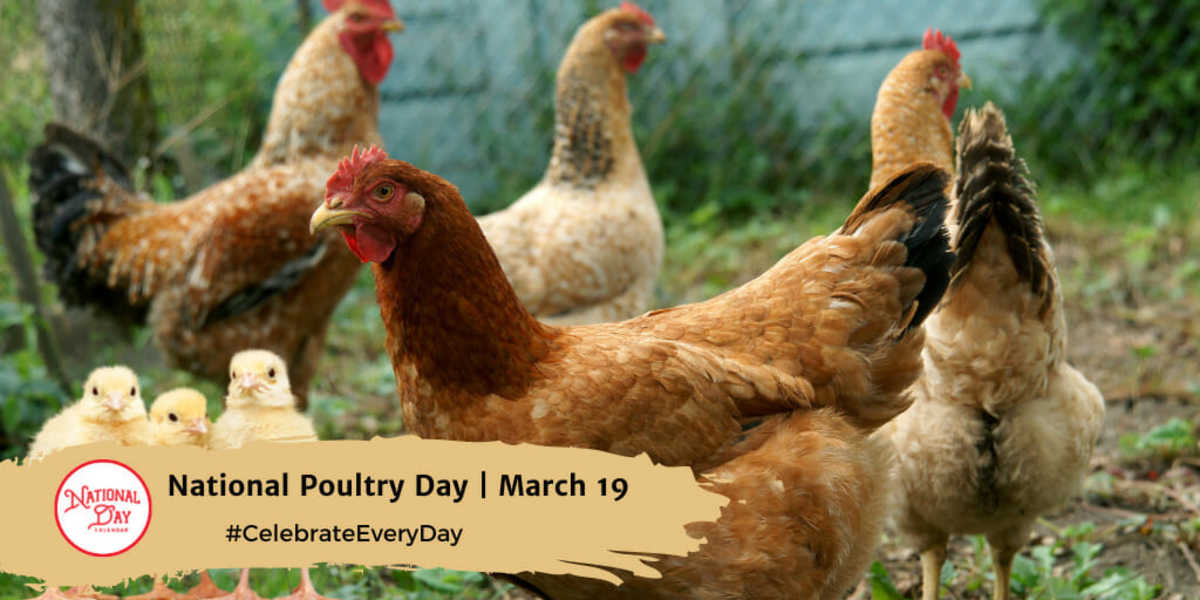 National Poultry Day | March 19