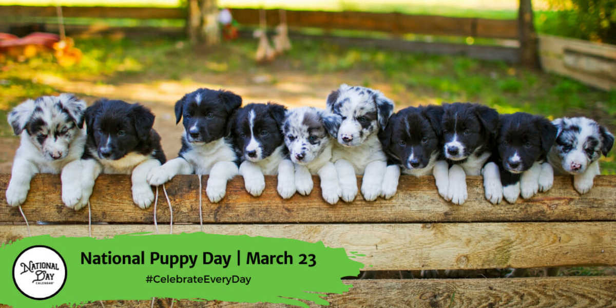 National Puppy Day | March 23