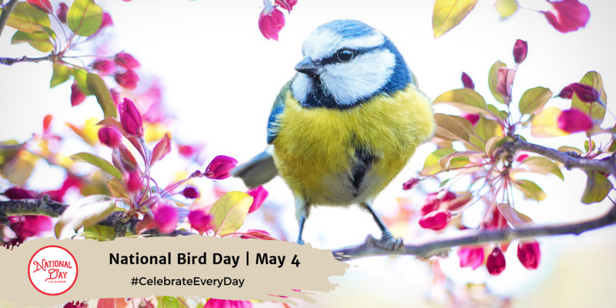 Bird Day | May 4
