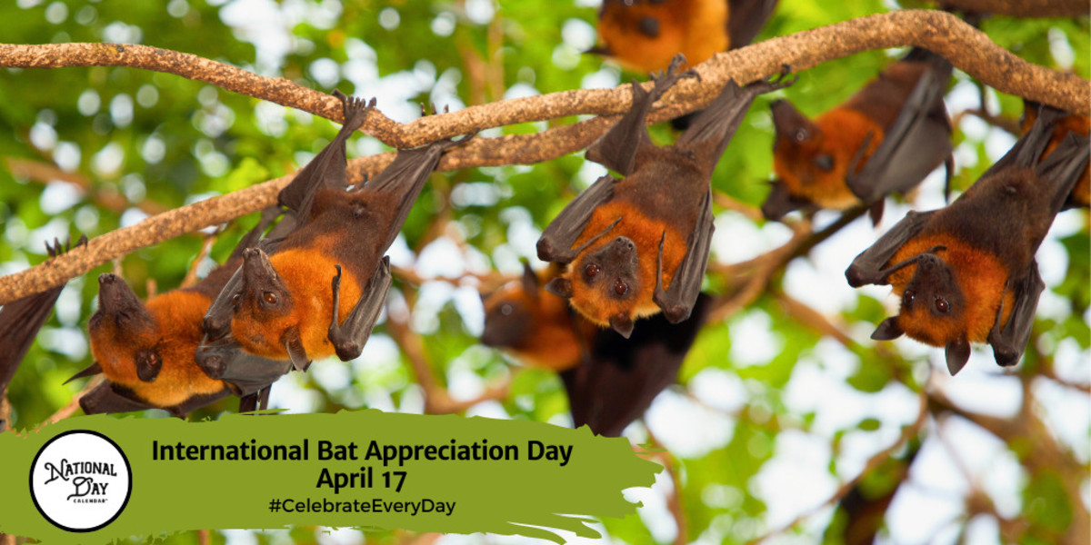 International Bat Appreciation Day | April 17
