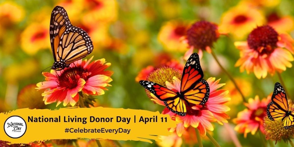 NATIONAL LIVING DONOR DAY April 11 National Day Calendar