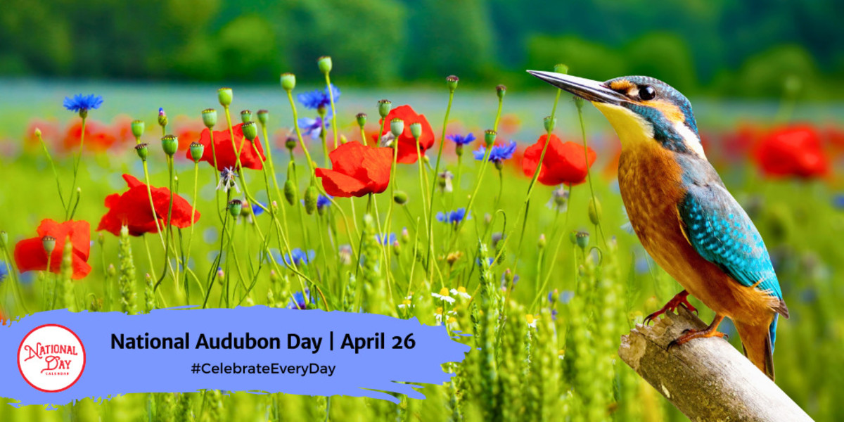 National Audubon Day | April 26