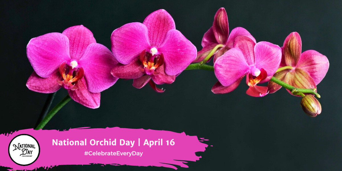 National Orchid Day | April 16