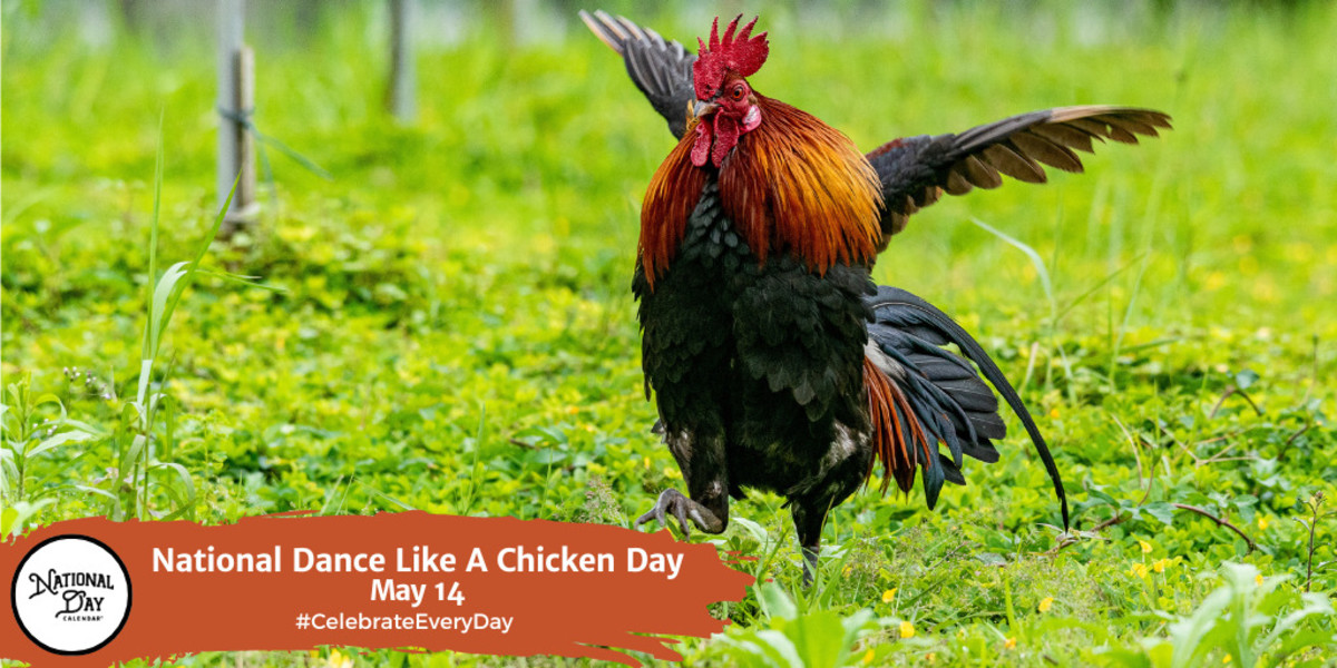 National Dance Like A Chicken Day | May 14