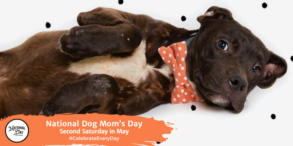 National Dog Mom’s Day | Second Saturday in May