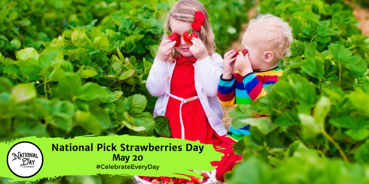National Pick Strawberries Day | May 20