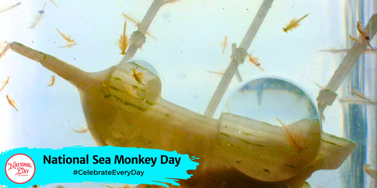 National Sea Monkey Day | May 16
