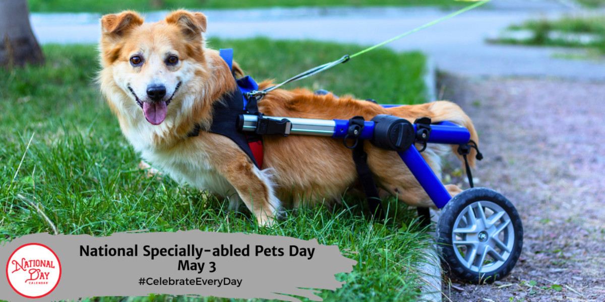 National Specially-abled Pets Day | May 3
