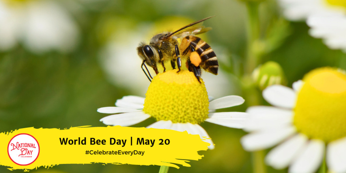 World Bee Day | May 20