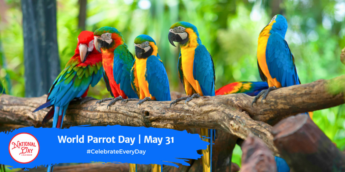 World Parrot Day | May 31