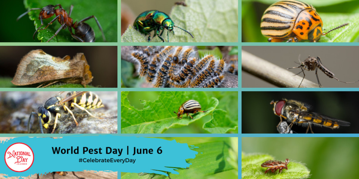 WORLD PEST DAY June 6 National Day Calendar