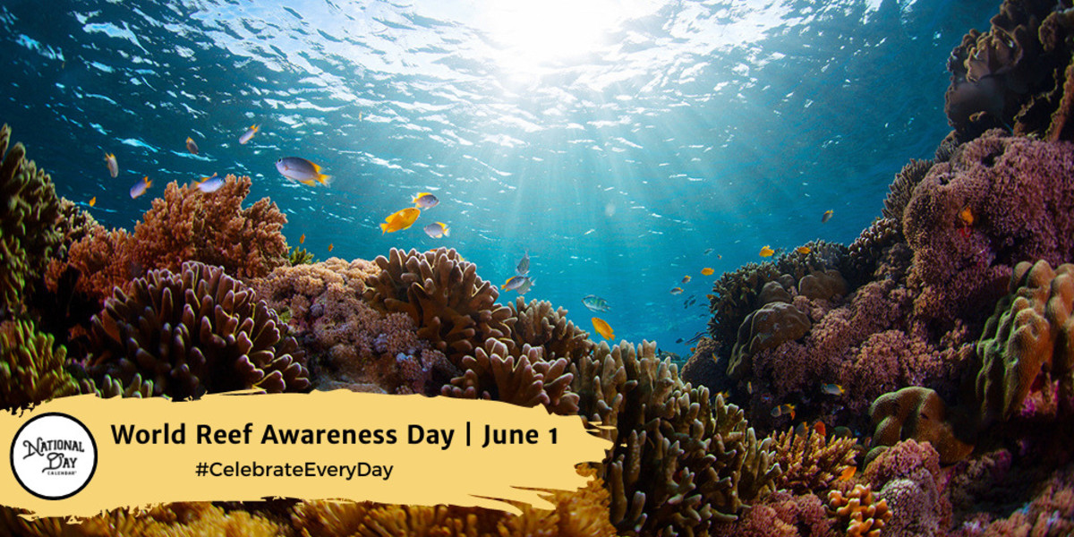 World Reef Awareness Day | June 1