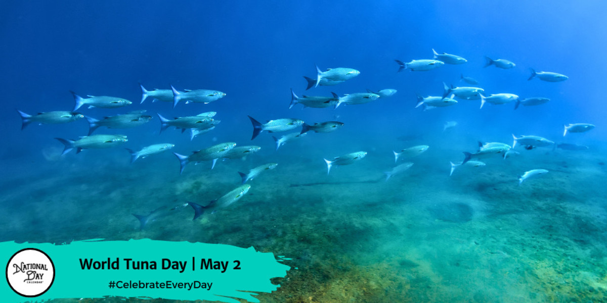 World Tuna Day | May 2