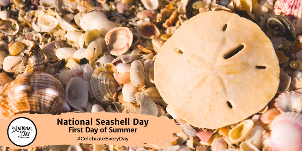 NATIONAL SEASHELL DAY First Day of Summer National Day Calendar